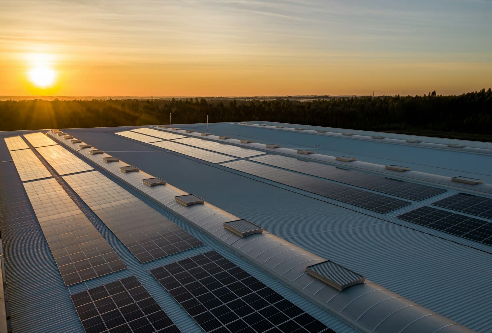 Solar panels installed across a modern roof, glowing in the golden light of a Surrey sunset